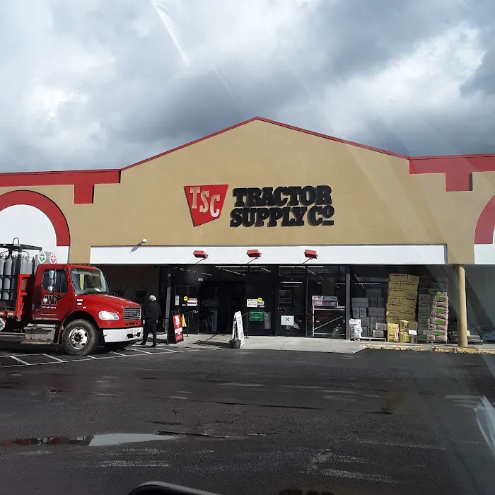 Ollie's Bargain Outlet 9