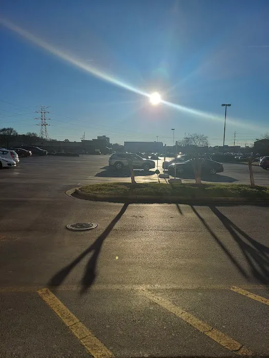 Kohl's 5