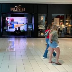 Hollister Co. ico