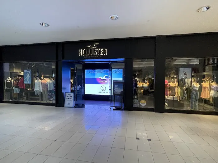 Hollister Co. 4