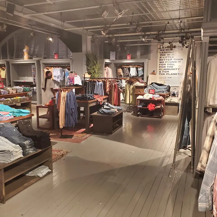 Hollister Co. 3