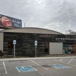 Anthropologie ico