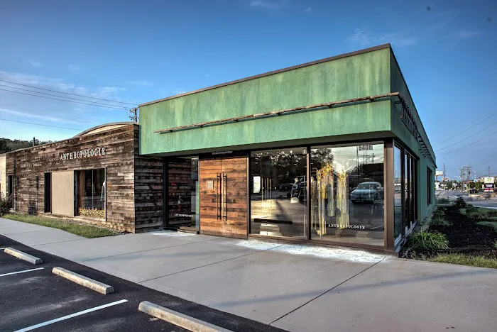 Anthropologie 4