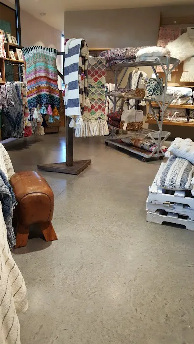 Anthropologie 3