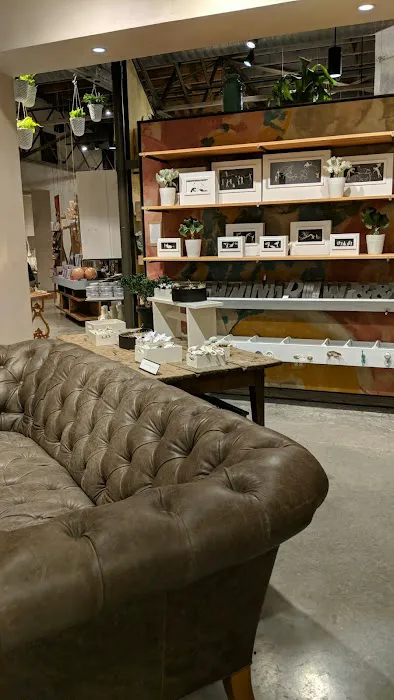 Anthropologie 9