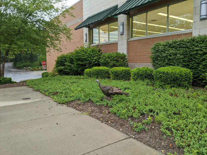 Walgreens 5