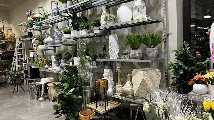 Homesense 4