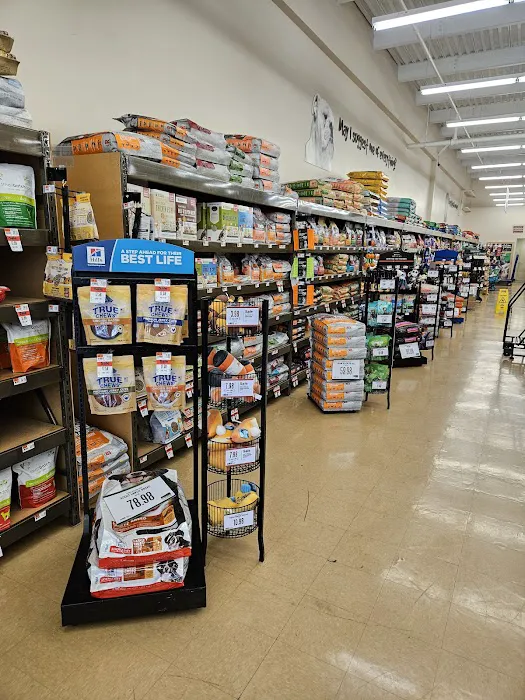 Mega Marshall's Plaza 2