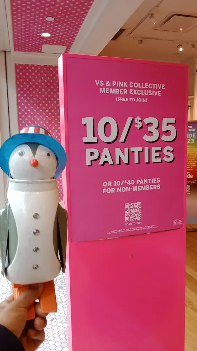 Victoria's Secret & PINK by Victoria's Secret 9