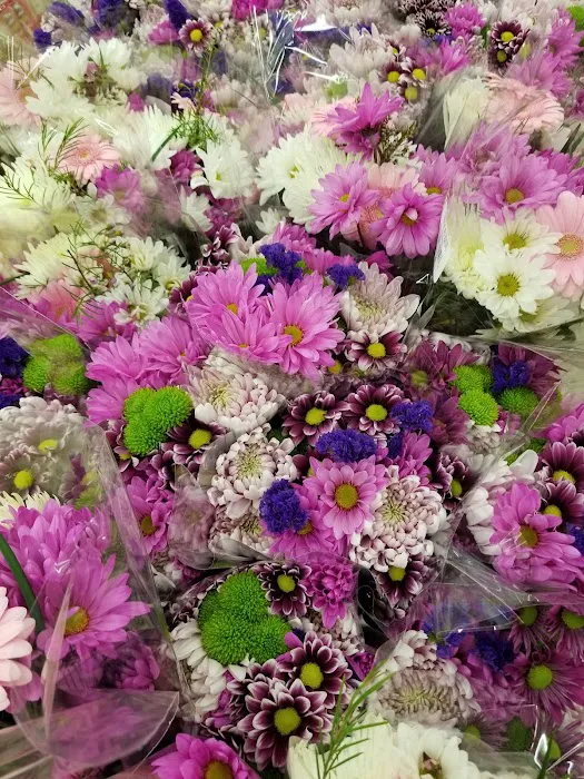 Walgreens 1