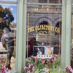 The Olfactory Co. ico