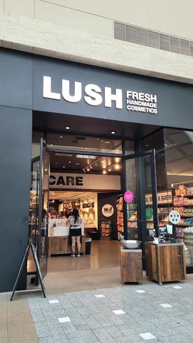 Lush Cosmetics Lenox Square 2