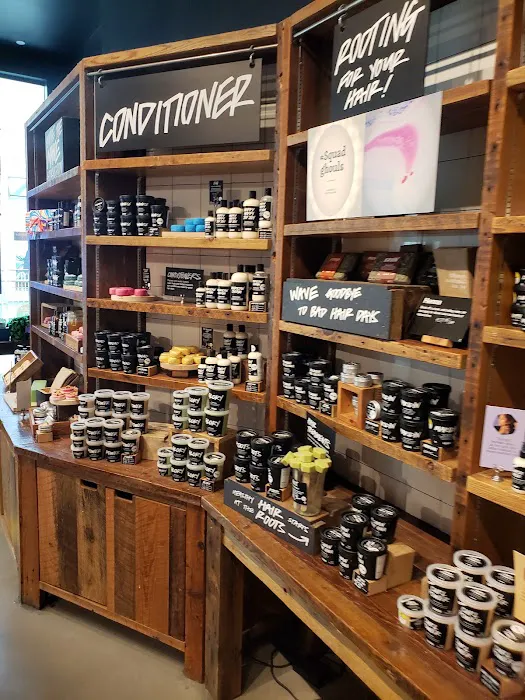 Lush Cosmetics Lenox Square 4