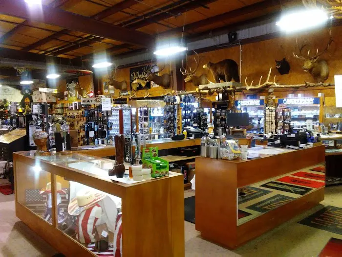 Cavender's Horsetown South 3
