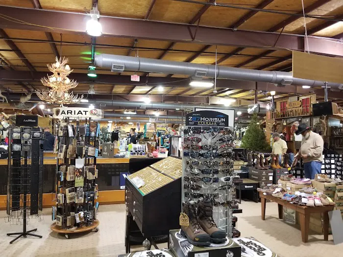 Cavender's Horsetown South 5