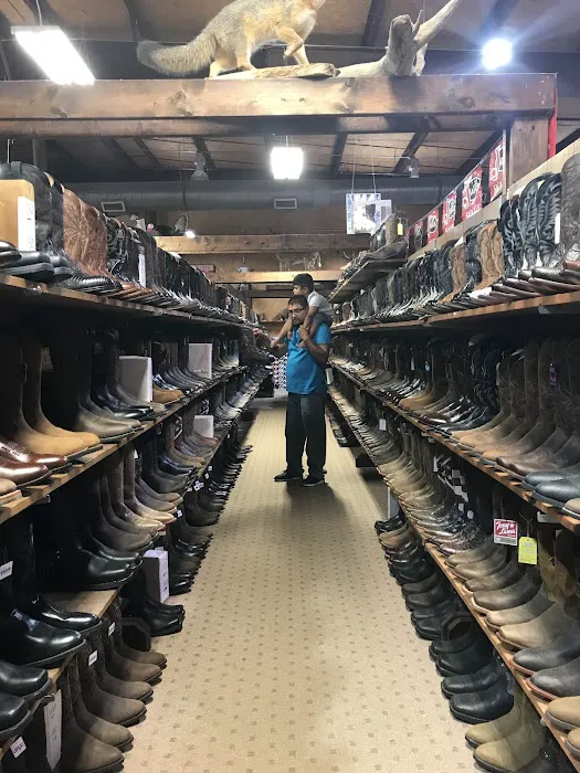 Cavender's Horsetown South 7