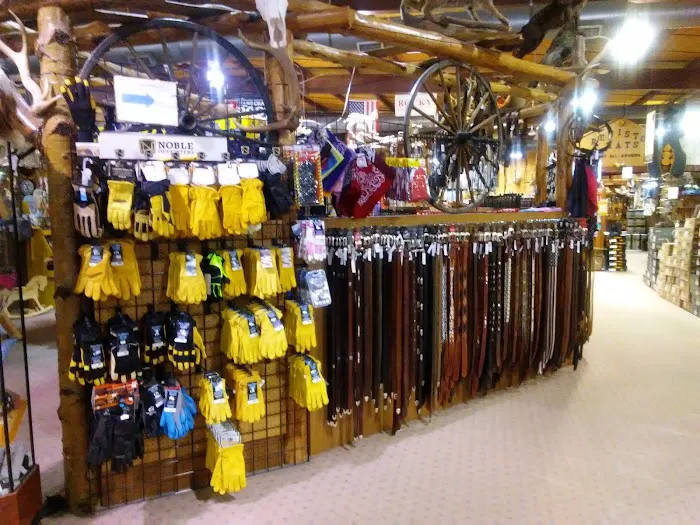 Cavender's Horsetown South 8