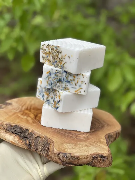 Goddess of the Sea Beauty Bar - GOTS 1