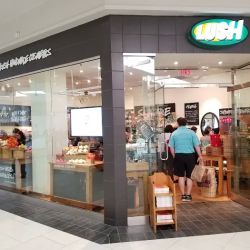 Lush Cosmetics Perimeter Mall ico