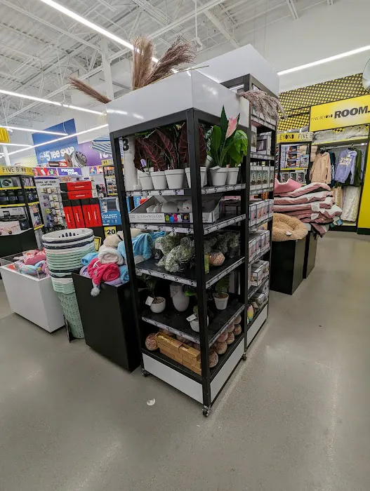 Five Below 3