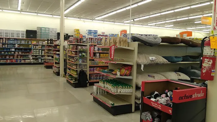 Big Lots 2