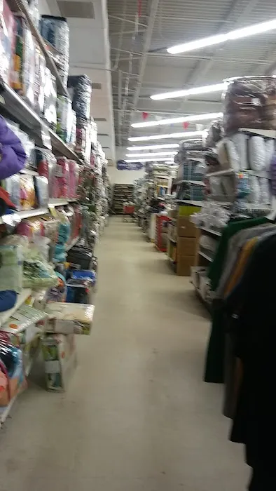 Ollie's Bargain Outlet 1