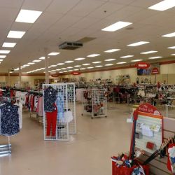 bealls ico