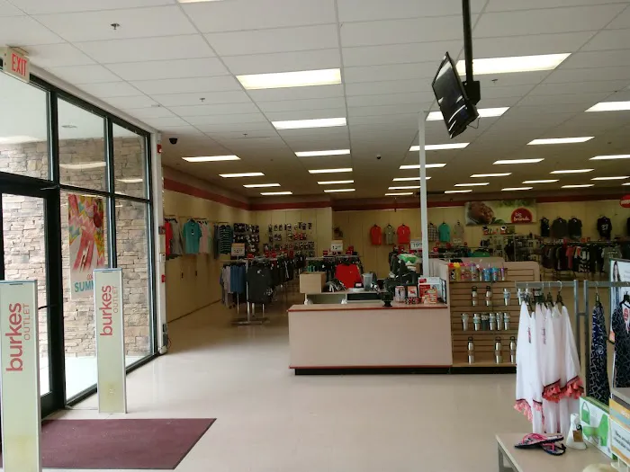 bealls 8