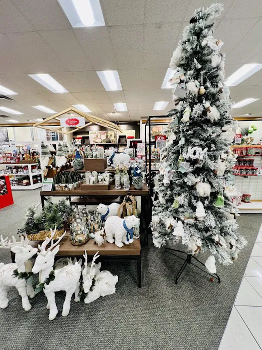 Kohl's 7