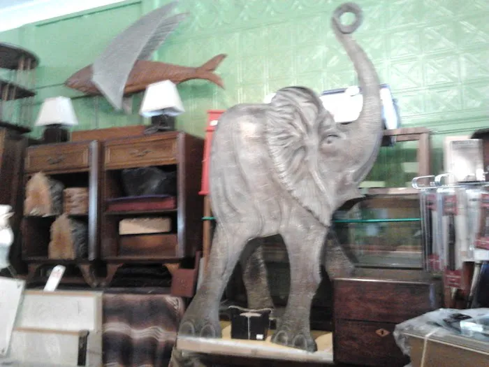 Colonial Drug 7