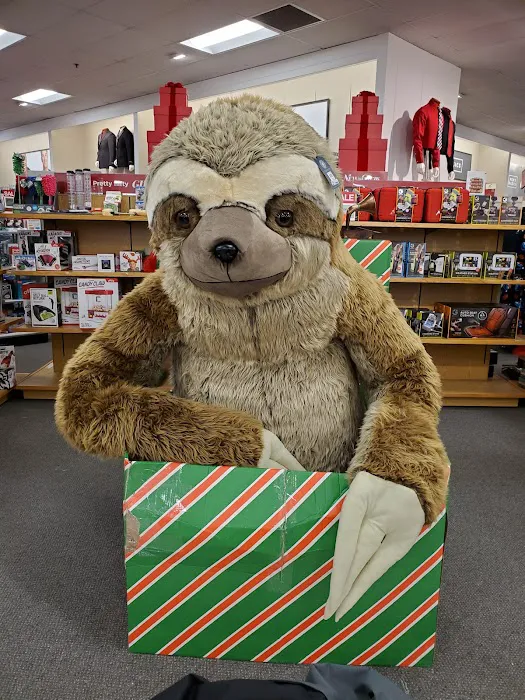 Kohl's 4