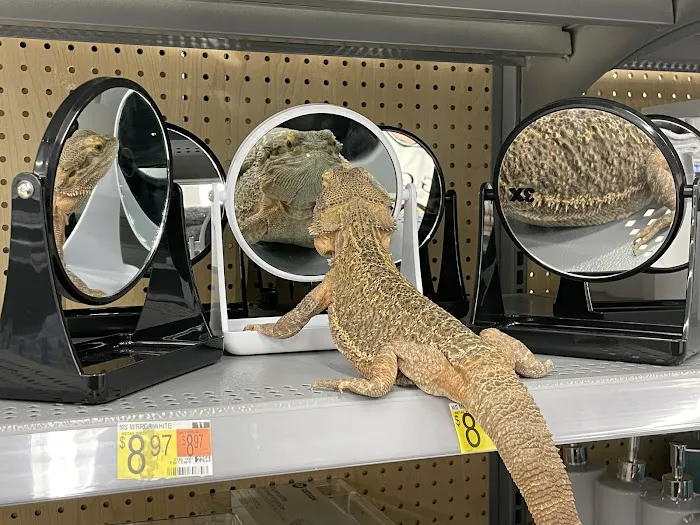Walmart 4