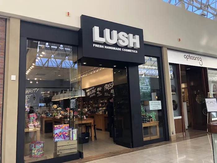 Lush Cosmetics Chestnut 1