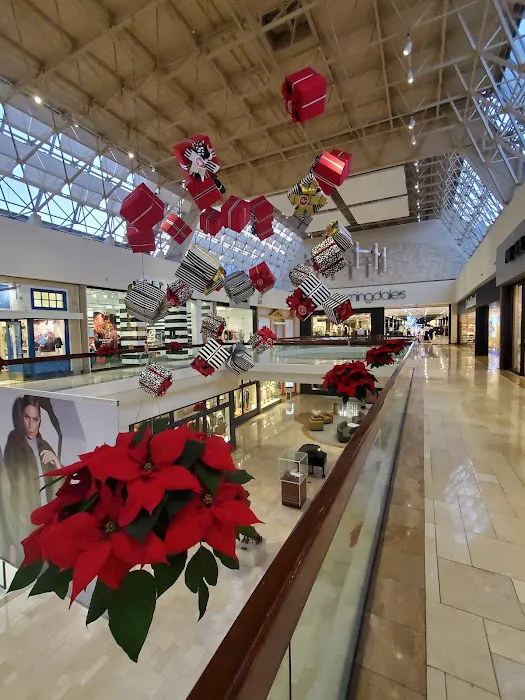 Bloomingdale's 2