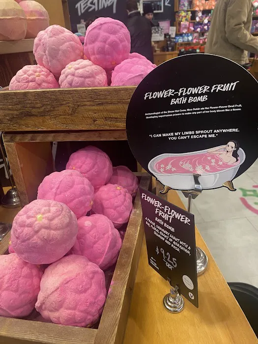 Lush Cosmetics South Shore Plaza 2