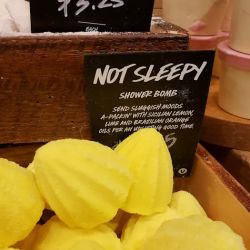 Lush Cosmetics South Shore Plaza ico