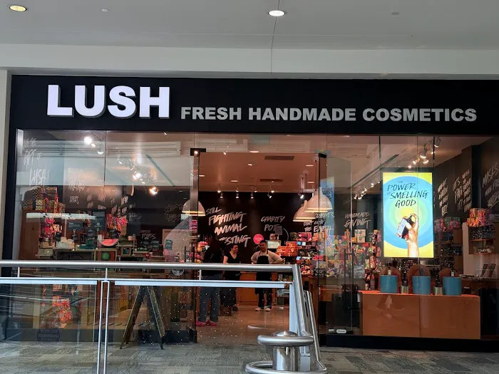 Lush Cosmetics South Shore Plaza 1