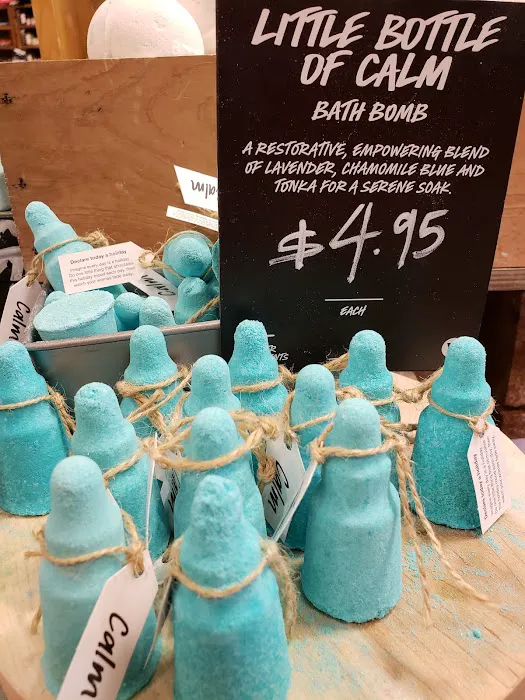 Lush Cosmetics South Shore Plaza 5