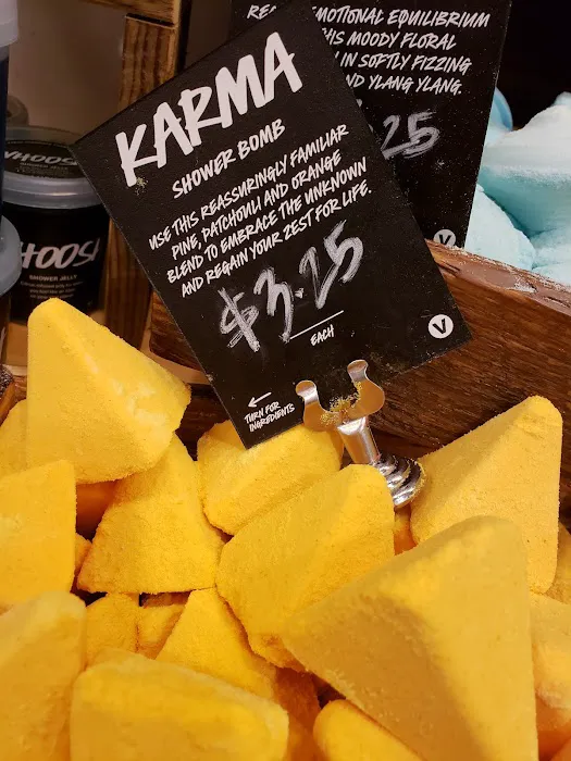 Lush Cosmetics South Shore Plaza 4