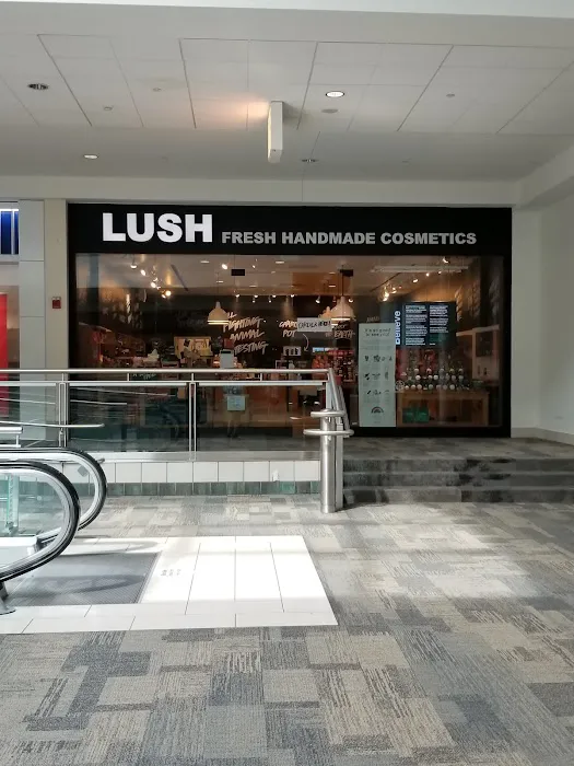 Lush Cosmetics South Shore Plaza 3