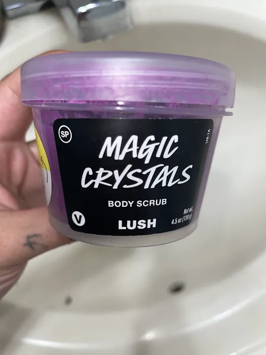 Lush Cosmetics South Shore Plaza 8