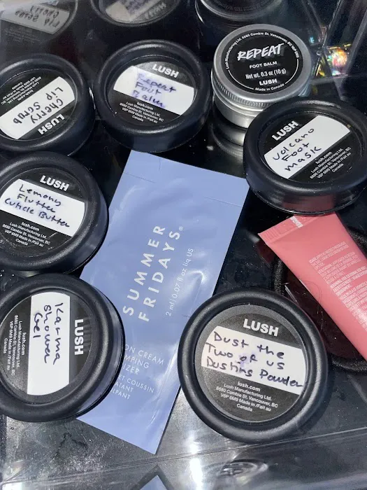Lush Cosmetics South Shore Plaza 9