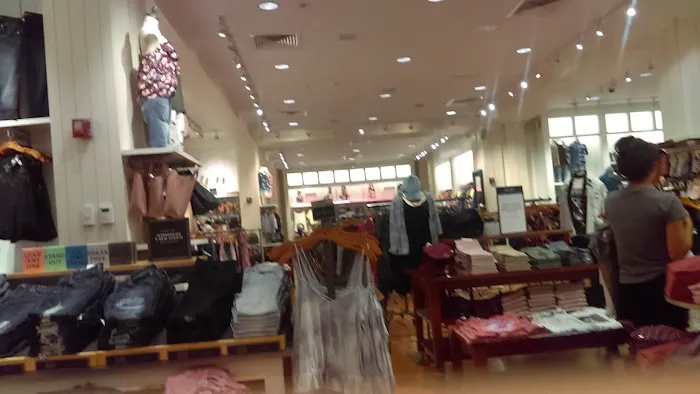 American Eagle 1