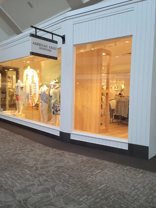 American Eagle 8
