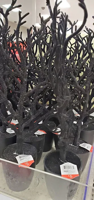 Target 9