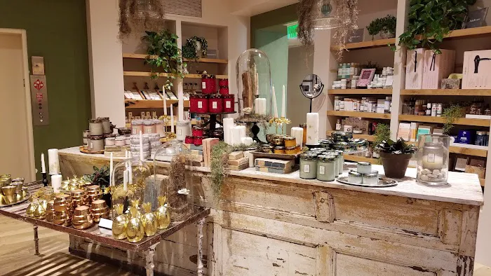 Anthropologie 2