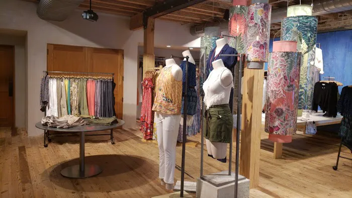 Anthropologie 0