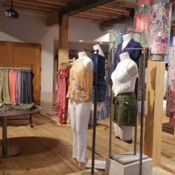 Anthropologie ico