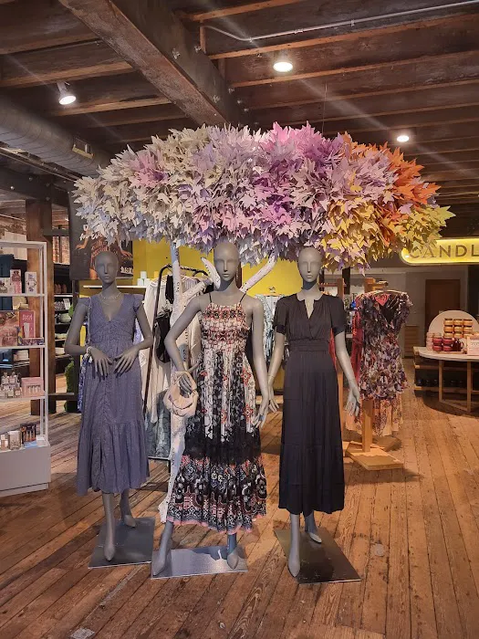 Anthropologie 4