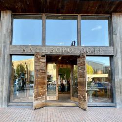 Anthropologie ico